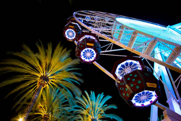 istock Ferris wheel next to palm trees 1285710610