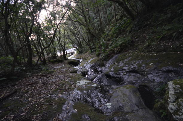 istock Hachijo island in Tokyo, Japan 1285714875