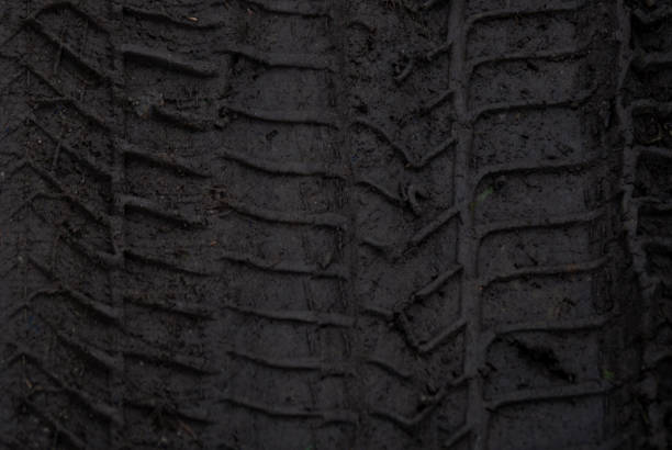 The tire tracks on a popular mountain bike trail in Alberta, Canada.