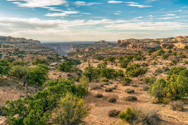istock Desert landscape Southwest USA 1285722325