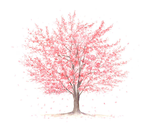 150+ Single Tree Spring Illustrations - iStock