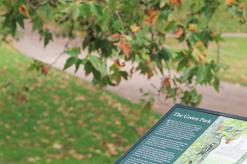 Green Park in City of Westminster, London. This is an information sign with an illustration on it depicting the details about Green Park including its nature and wildlife.