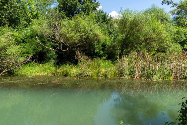 istock Iskar Panega Geopark along the Gold Panega River 1285735737