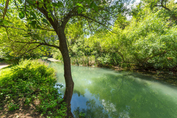 istock Iskar Panega Geopark along the Gold Panega River 1285736000