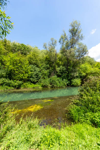 istock Iskar Panega Geopark along the Gold Panega River 1285736706