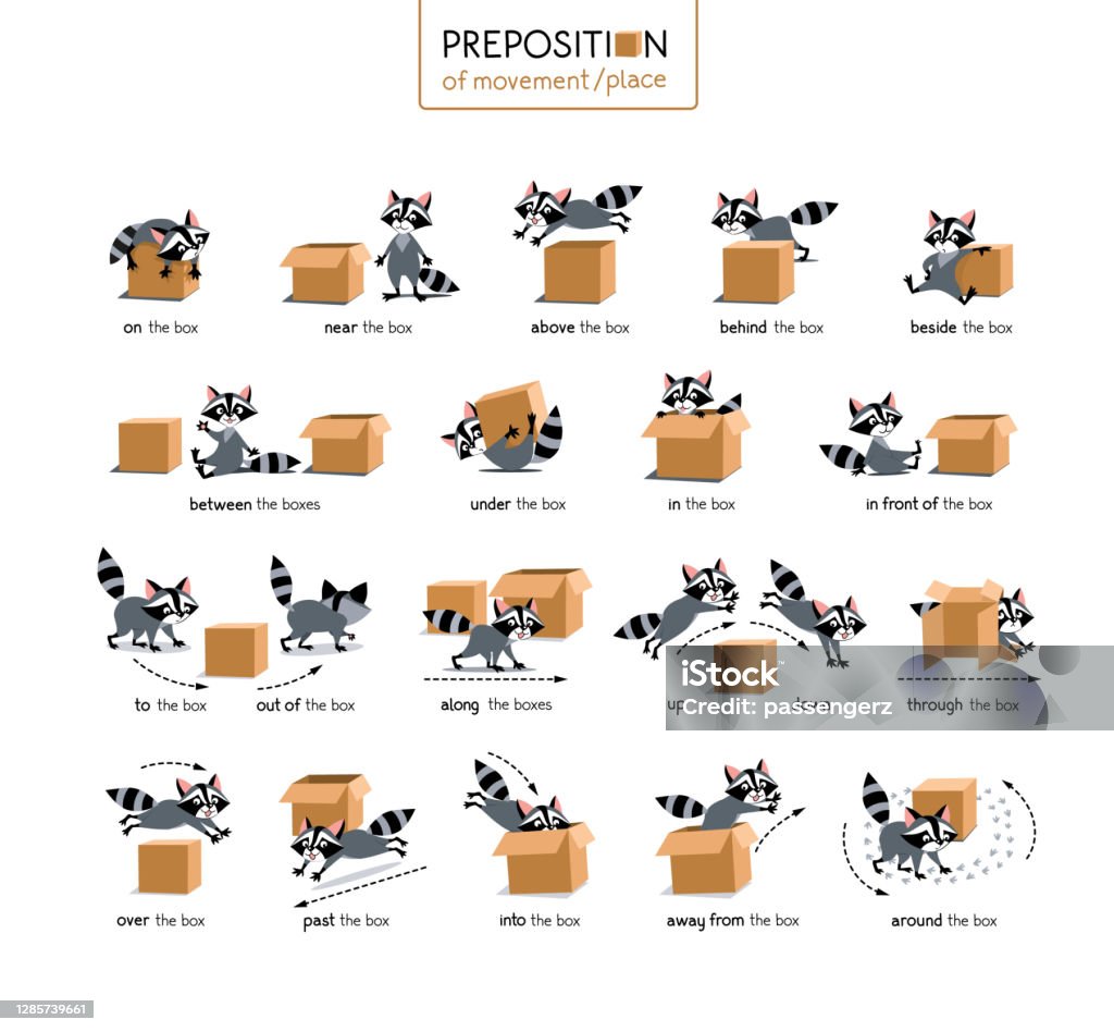 Preposition Of Place And Movement Raccoon And Box Stock Illustration -  Download Image Now - Raccoon, Below, Characters - iStock