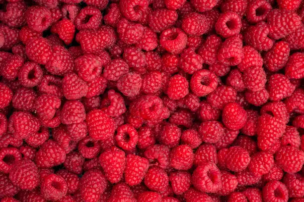 Raspberry fruit background.