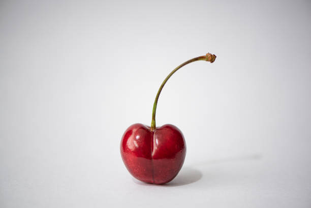 istock ripe large sweet cherry on a white background 1285741807