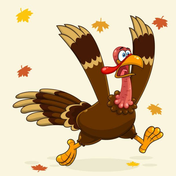 Crazy Turkey Cartoon Character Running Crazy Turkey Cartoon Character Running. Vector Illustration Greeting Card free thanksgiving pic stock illustrations
