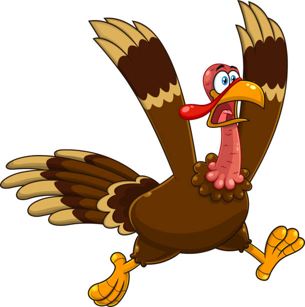ilustrações, clipart, desenhos animados e ícones de personagem de desenho animado louco da turquia correndo - thanksgiving turkey animal pilgrim