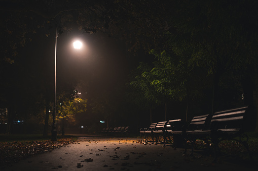 Alley with benches in an autumn park at night with  light of lanterns