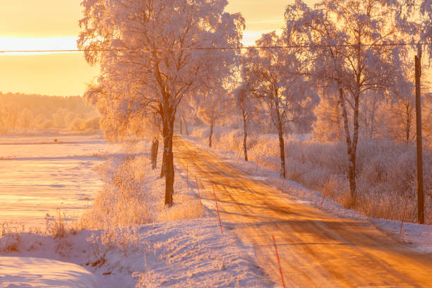 Denmark in winter