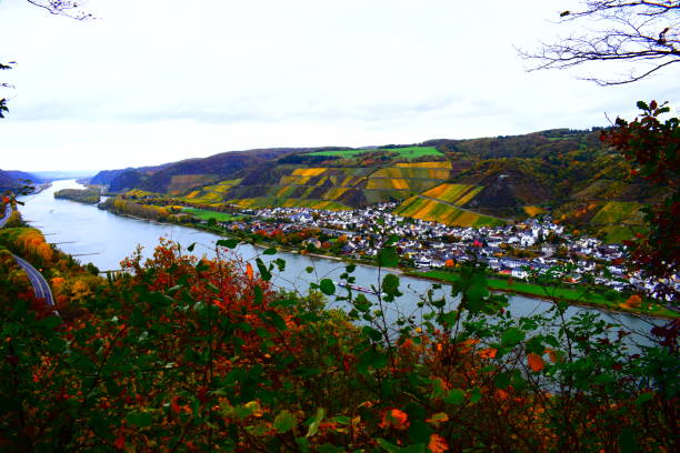 istock Rhine valley in autumn 1285746443