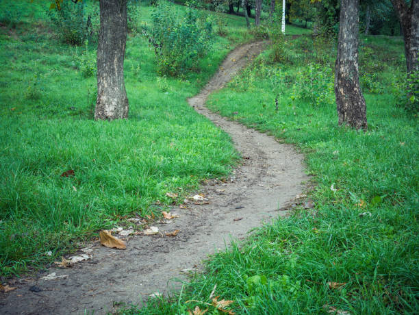 istock Winding footpath or pathway between the trees in nature. 1285746811