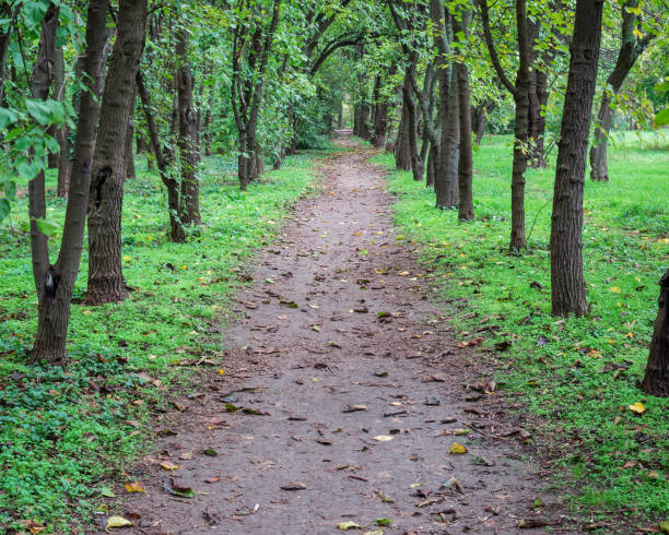 istock Footpath or pathway in Youth park, Bucharest. Nature trail in the forest. 1285747397