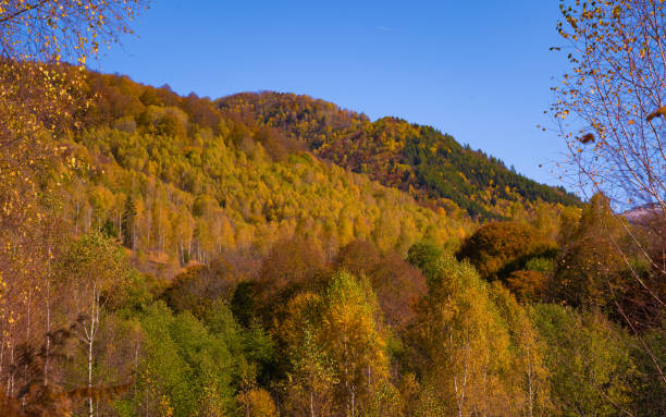 istock the mountain autumn landscape with colorful forest 1285747493