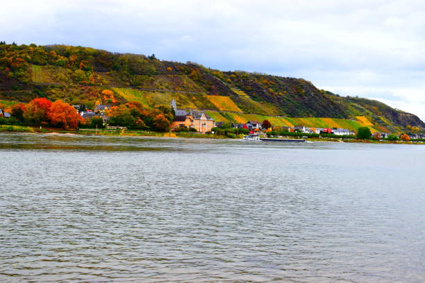 istock Rhine valley in autumn 1285747514