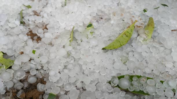 grandi palle di grandine dopo forte tempesta estiva, tempesta di grandine - sleet foto e immagini stock