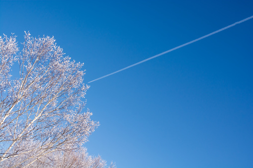 Rime on a sunny winter morning and contrail