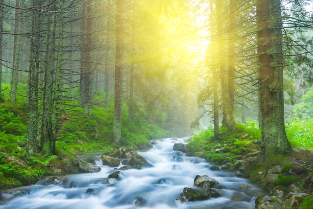 istock beautiful blue river rushing through a mountain forest 1285751251