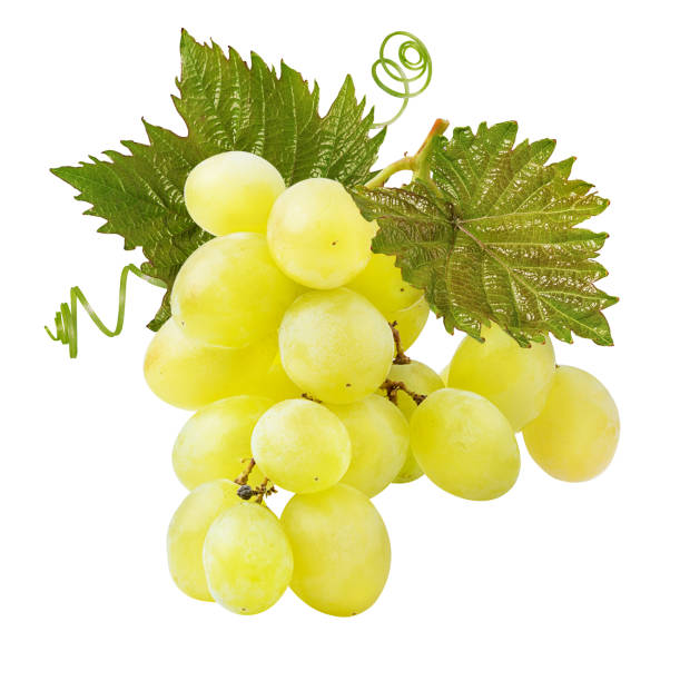 istock Green grapes with leaves isolated on white background 1285752742