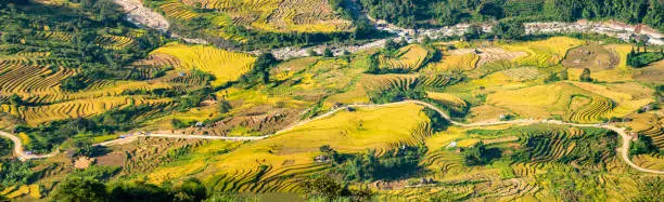 Terraced rice fields in Y ty, Sapa, Laocai, Vietnam seen from the mountains. Rice fields prepare the harvest at Northwest Vietnam