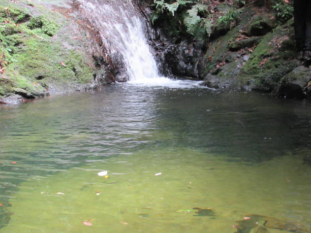 istock Waterfall and natural pool in Parelheiros district 1285758785