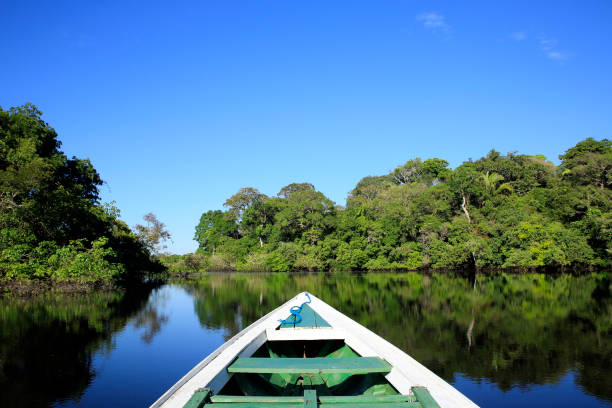 Amazon Excursion Exploring the Amazon. Amazon Rainforest, Brazil amazon river stock pictures, royalty-free photos & images