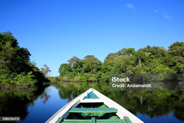 Amazon Excursion Stock Photo - Download Image Now - Amazon Region, Amazon Rainforest, Amazon River