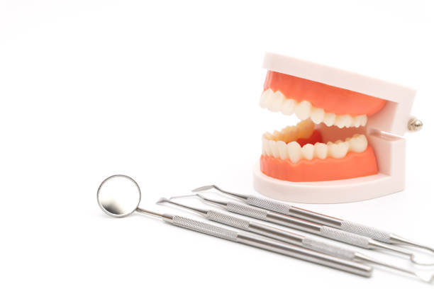 istock Dentist tool care set and tooth model  on white background 1285764216