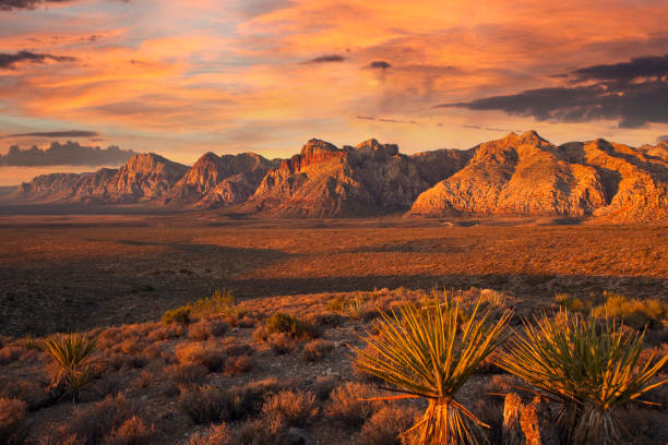 Desert Dawn with Cloudy Sky Orange first rays of dawn light on the cliffs of Red Rock Canyon National Conservation Area nea Las Vegas Nevada. nevada photos stock pictures, royalty-free photos & images
