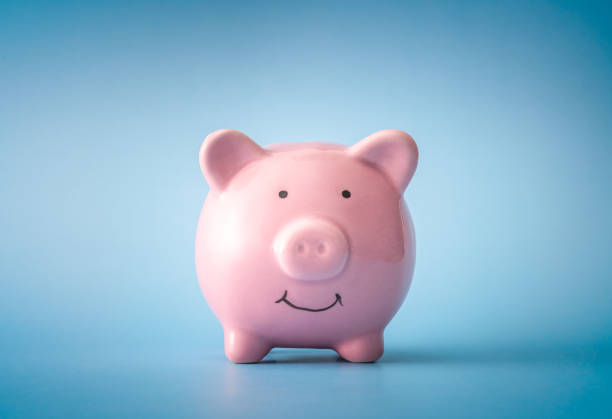 Savings, Loan, Blue Background, Multi-Colored Background, Pig