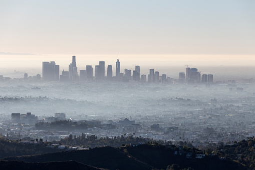 Morning fog cityscape view of downtown Los Angeles from popular Griffith Park near Hollywood California.