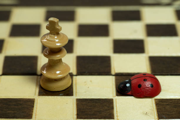 wooden ladybugs on chessboard and king pawn