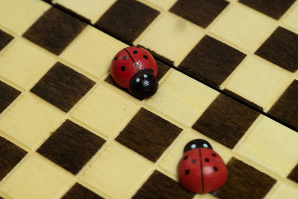 wooden ladybugs on chessboard