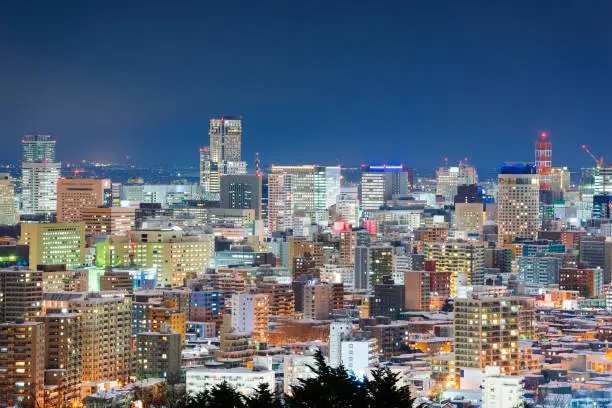 Sapporo, Japan downtown cityscape at night.
