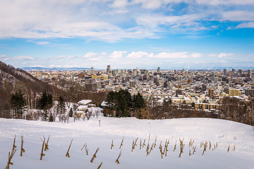 Sapporo, Japan cityscape from Asahiyama Memorial Park in winter.