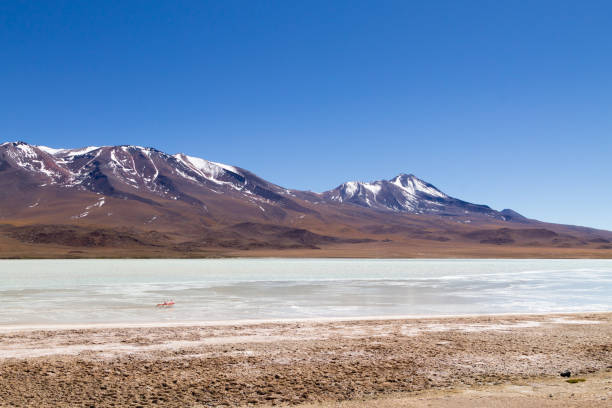 istock Laguna Hedionda view, Bolivia 1285778179