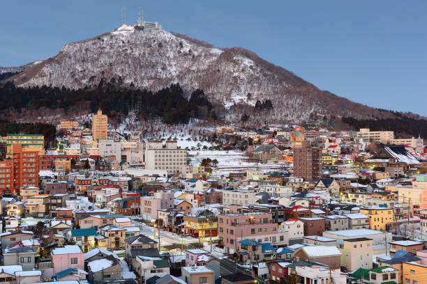 Hakodate, Japan Skyline Hakodate, Japan skyline at Mt. Hakodate during a winter twilight. hakodate stock pictures, royalty-free photos & images