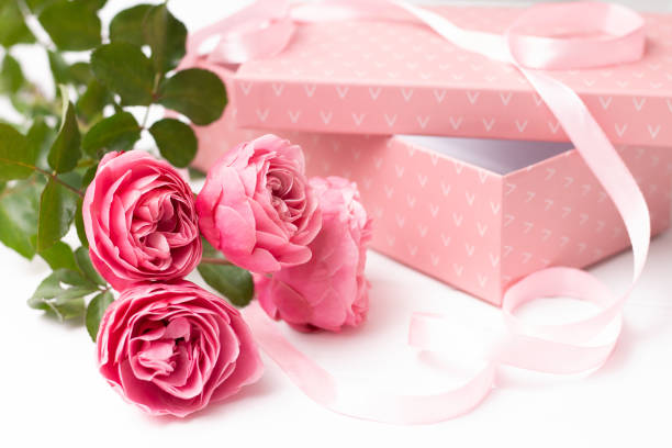Pink delicate roses, sort Leonardo da Vinci on a white surface with gift box and ribbon.