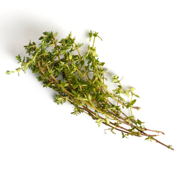 istock Thyme sprigs on a white background, close-up, flat lay, copy space, top view. 1285783818