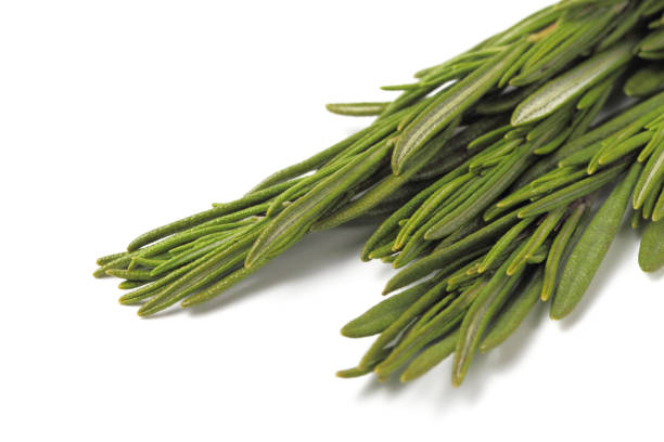 istock Sprigs of fresh rosemary, copy space, close-up, white background, isolate. 1285783871