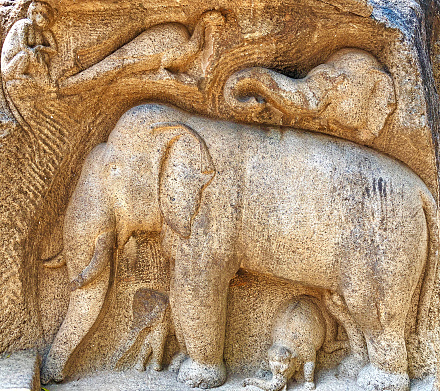 Indian rock art of relief animal sculptures carved in the monolithic rock in Mahabalipuram.
