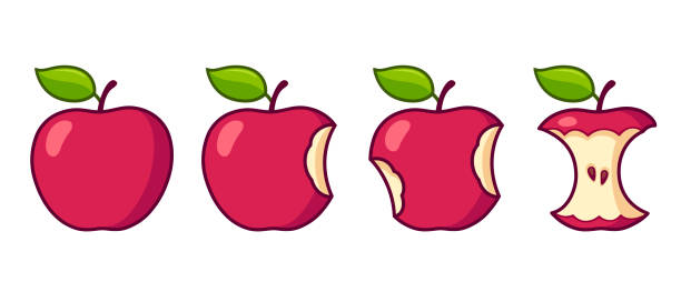 Cartoon apple eating set Cartoon apple eating set. Whole, bite stages and leftover core. Isolated vector clip art illustration. apple with bite out stock illustrations