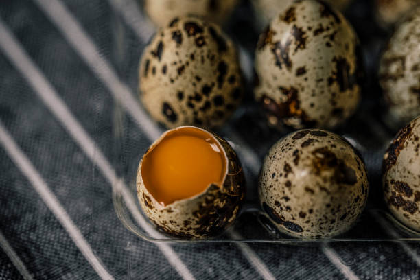 stillleben mit eiern - wachtelei stock-fotos und bilder