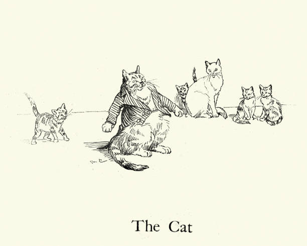 The Cat, from the Nursery Rhyme, Hey Diddle Diddle Vintage illustration of by Randolph Caldecott from the Nursery Rhyme, Hey Diddle Diddle. The Cat chubby cat stock illustrations