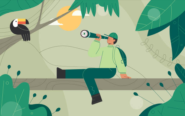 Explorers, travelers in the jungle large green leaves. Man Looks at the Toucan bird through binoculars. Concept of discovery, exploration, hiking, adventure tourism and travel. Explorers, travelers in the jungle large green leaves. Man Looks at the Toucan bird through binoculars. landscape nature plant animal stock illustrations