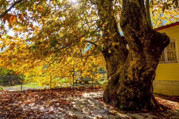 istock autumn colors and mountain landscapes 1285799429