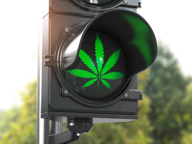 cannabisblatt auf grüner ampel. cannabis und marihuana legalisierung konzept. - legalization stock-fotos und bilder