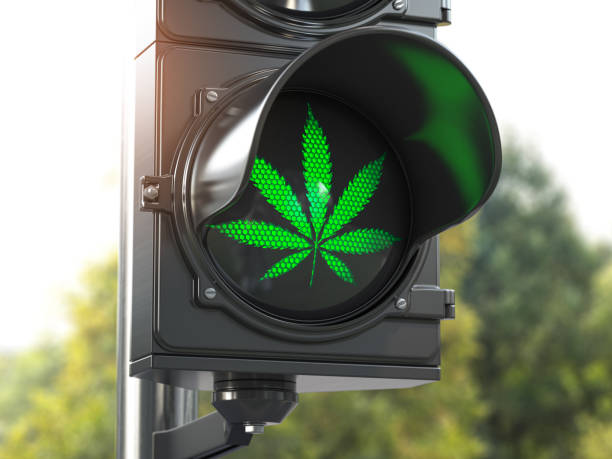 Cannabis leaf on green traffic light. Cannabis and marijuana legalization concept. Cannabis leaf on green traffic light. Cannabis and marijuana legalization concept. 3d illustration legalization stock pictures, royalty-free photos & images